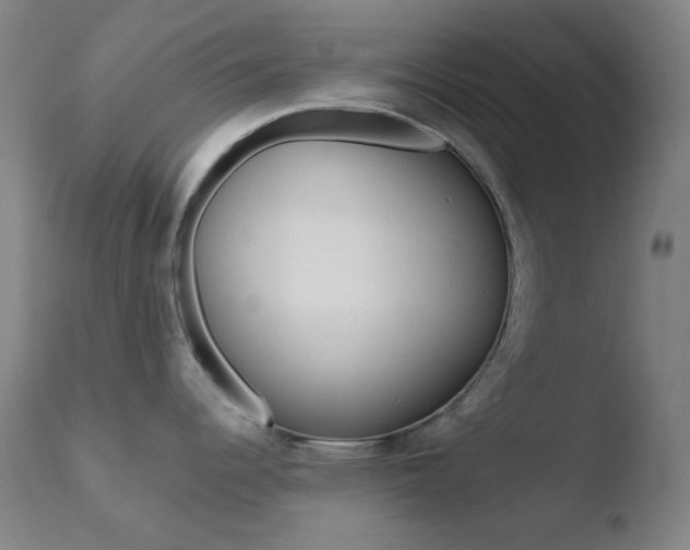 X0000110721344200906121237