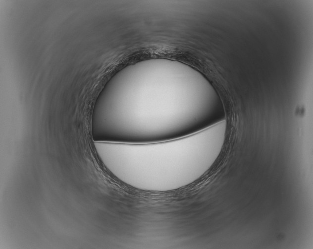 X0000110721345200906121236