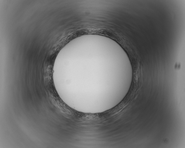 X0000110721346200906121236