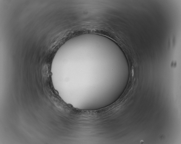 X0000110721347200906121236