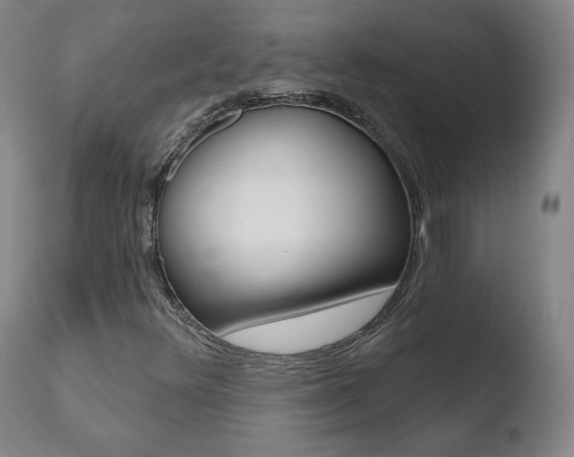 X0000110721348200906121236