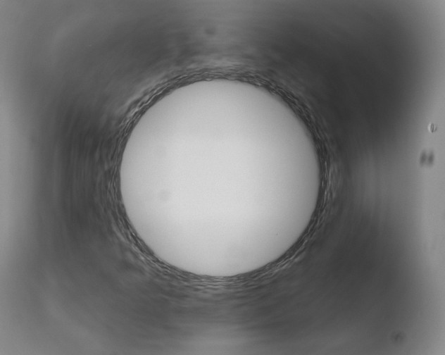 X0000110721349200906121236