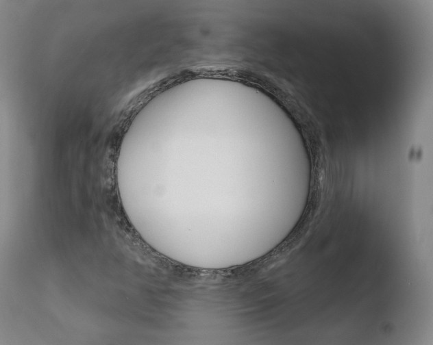 X0000110721350200906121236