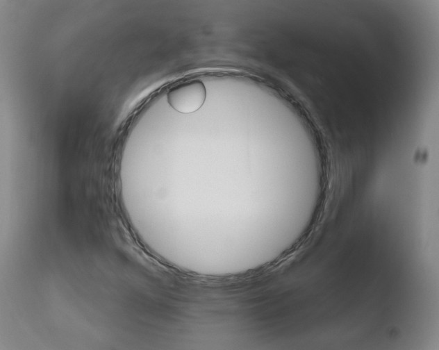 X0000110721352200906121236