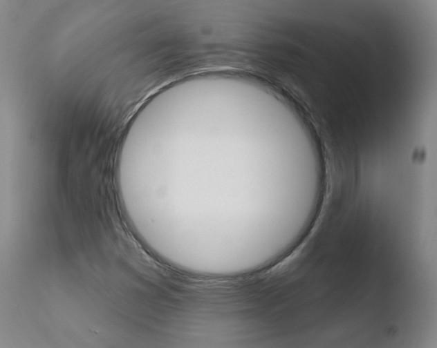 X0000110721353200906121236