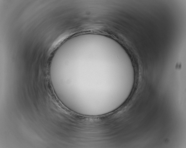 X0000110721354200906121236