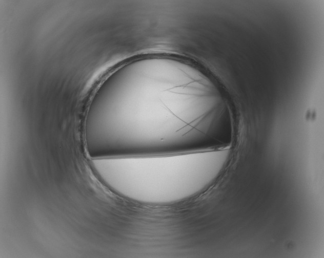 X0000110721356200906121236