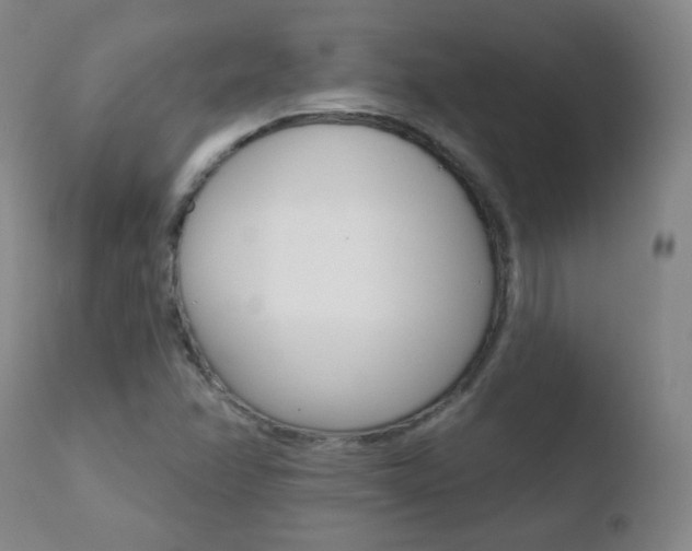 X0000110721358200906121236