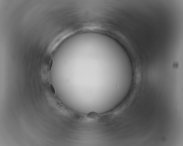 X0000110721361200906121236