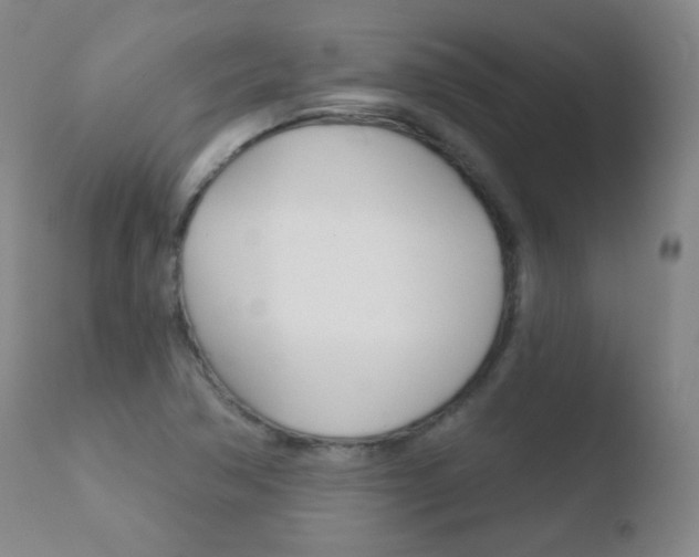 X0000110721362200906121236