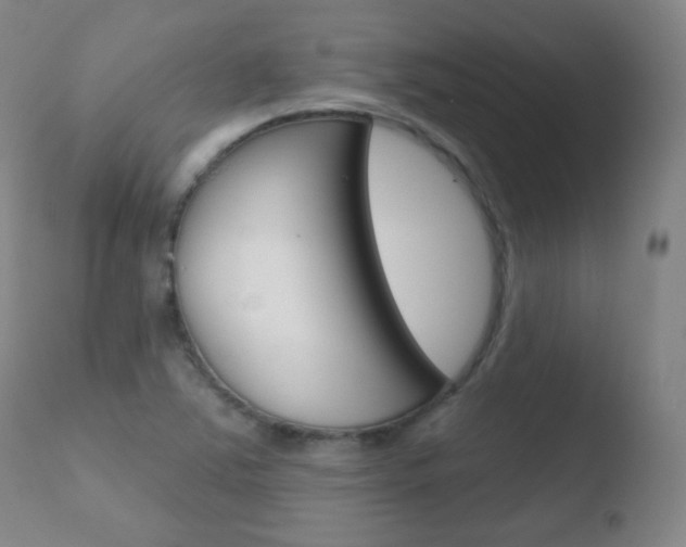 X0000110721363200906121236