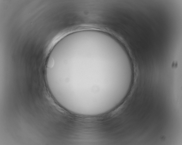 X0000110721365200906121236