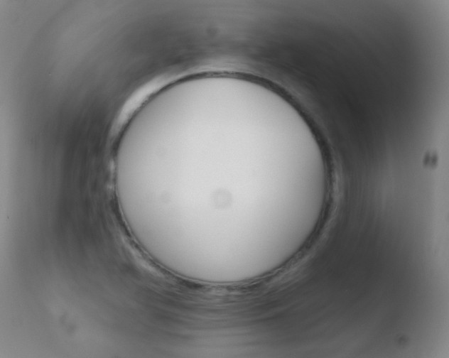X0000110721366200906121236