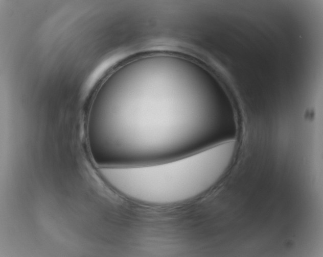 X0000110721368200906121236