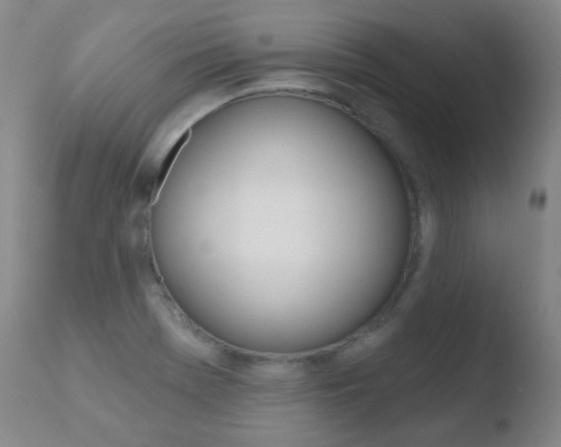 X0000110721369200906121236