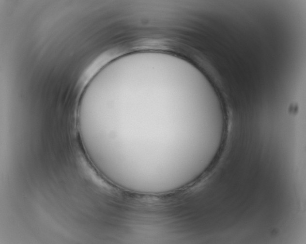 X0000110721370200906121236