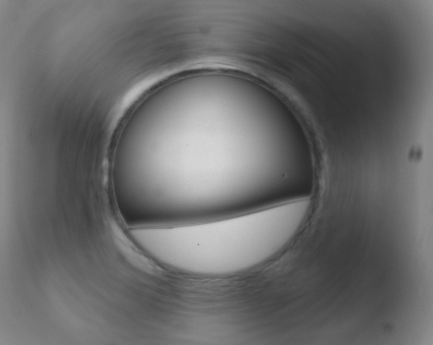 X0000110721372200906121236