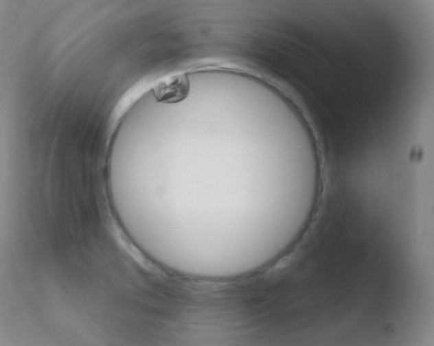 X0000110721373200906121236