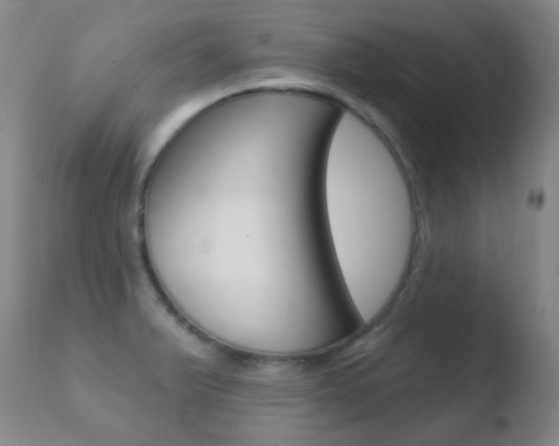 X0000110721375200906121236