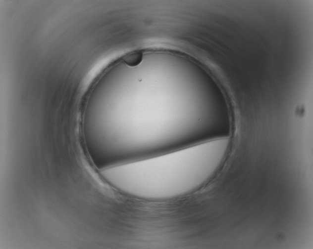 X0000110721376200906121236