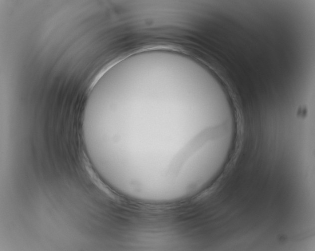 X0000110721377200906121236