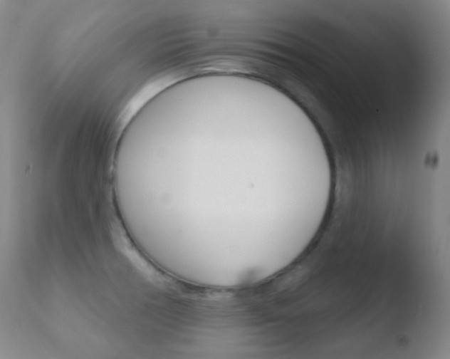X0000110721378200906121236