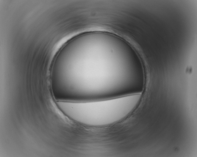 X0000110721380200906121236