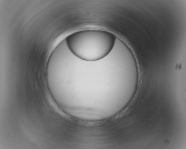 X0000110721381200906121236