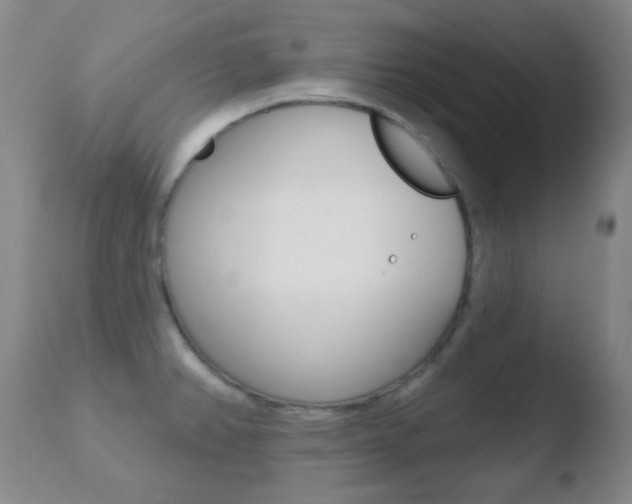 X0000110721382200906121236