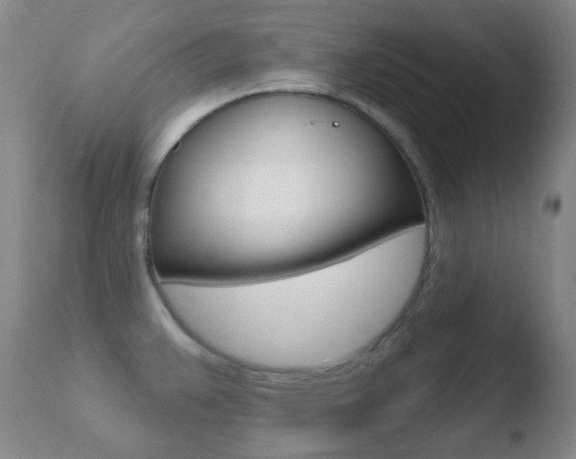 X0000110721383200906121236
