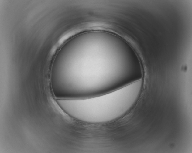 X0000110721384200906121236