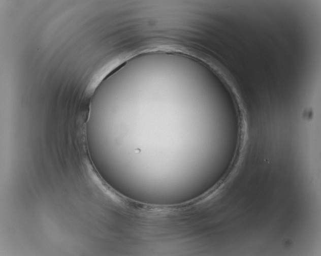 X0000110721385200906121236