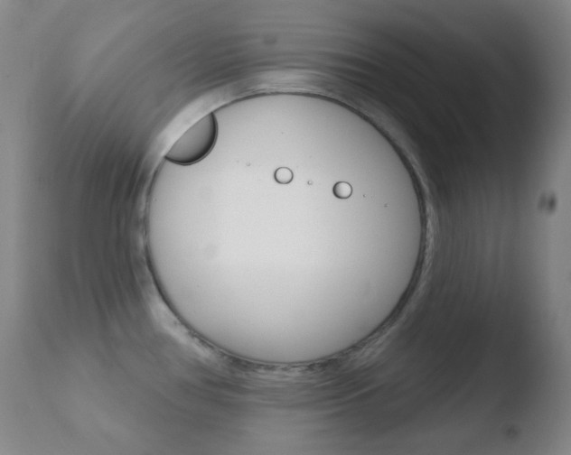 X0000110721386200906121235
