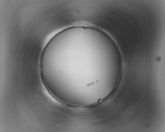 X0000110721387200906121235