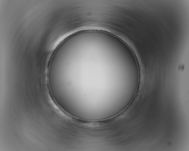 X0000110721388200906121235