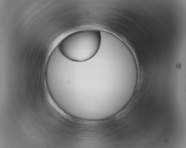 X0000110721389200906121235