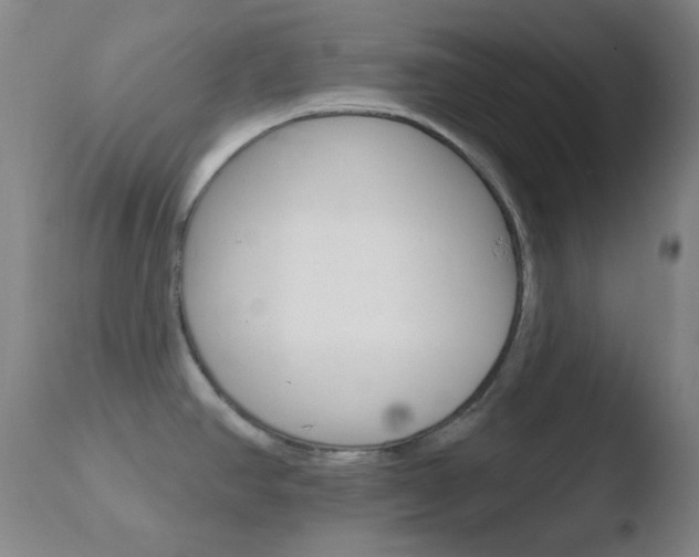 X0000110721390200906121235
