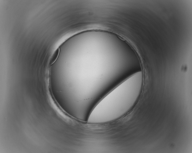 X0000110721391200906121235