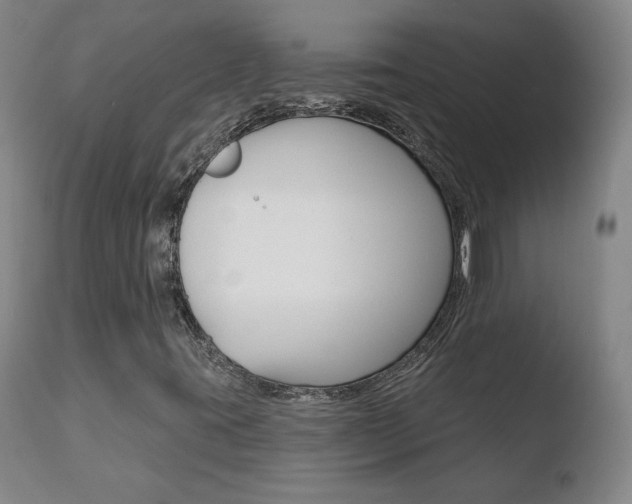 X0000110721395200906121235