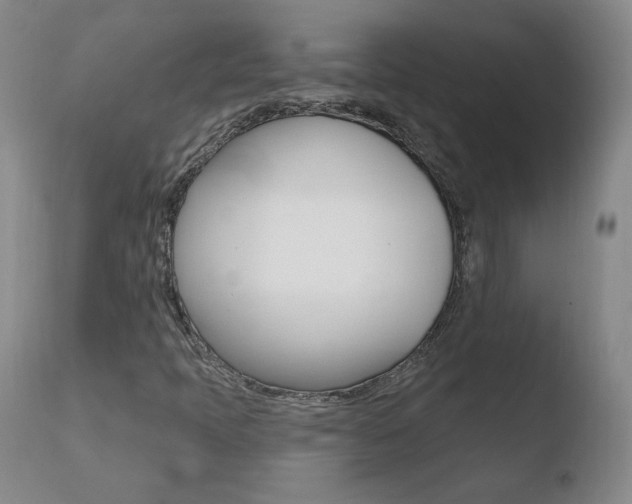 X0000110721397200906121235