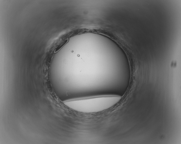 X0000110721398200906121235