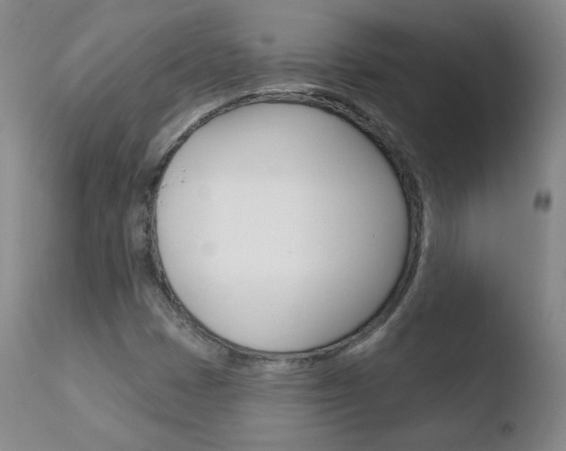 X0000110721401200906121235