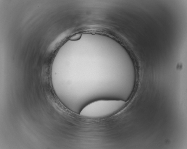X0000110721403200906121235