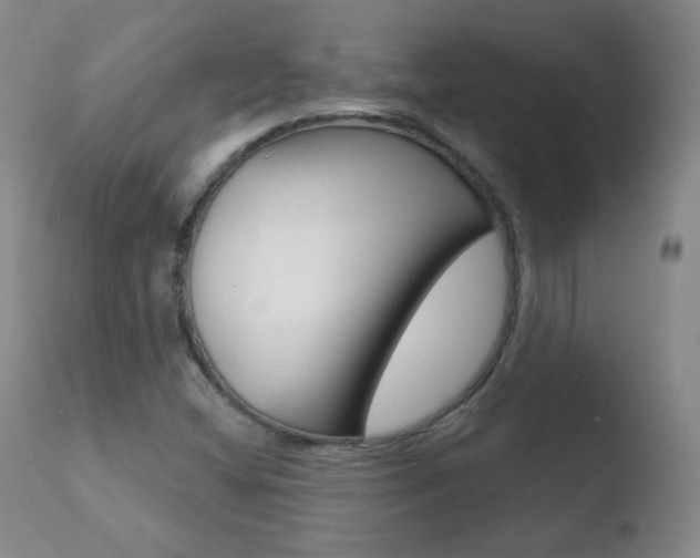 X0000110721404200906121235