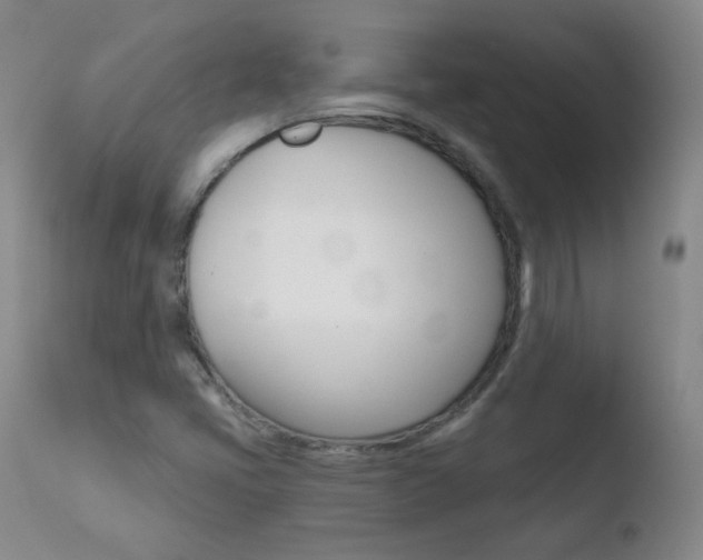 X0000110721405200906121235
