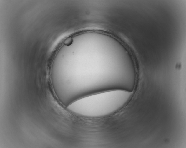 X0000110721408200906121235
