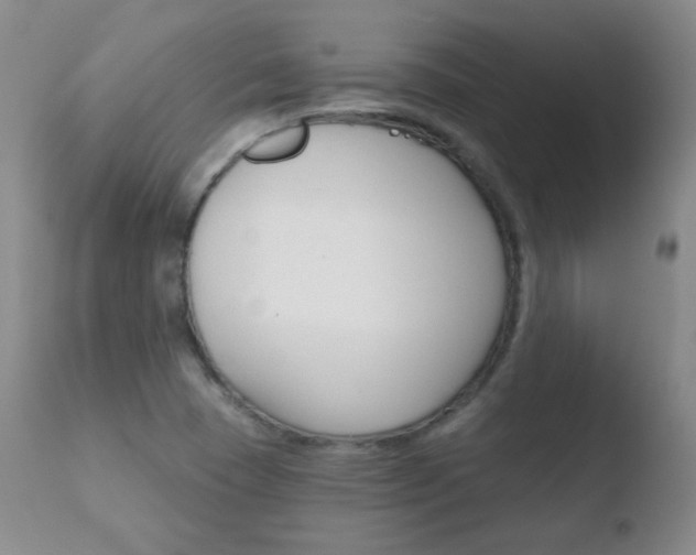 X0000110721409200906121235