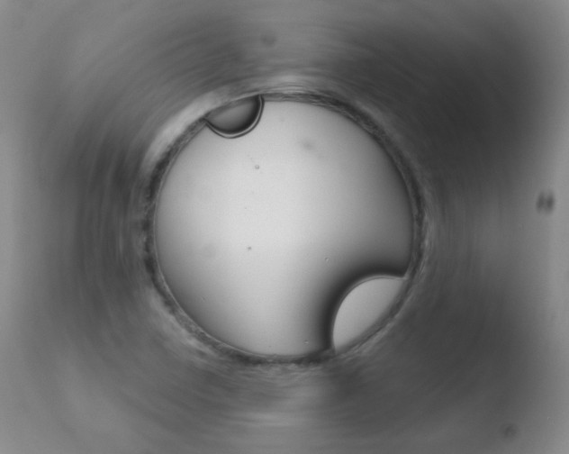 X0000110721410200906121235