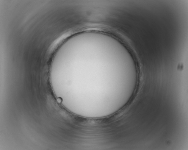 X0000110721411200906121235