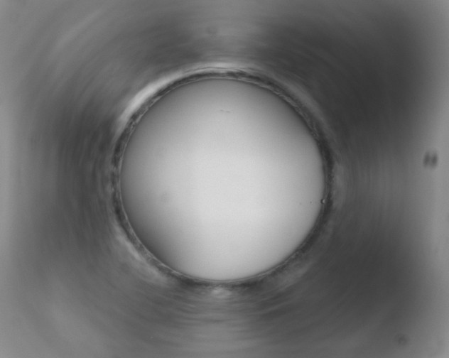 X0000110721412200906121235